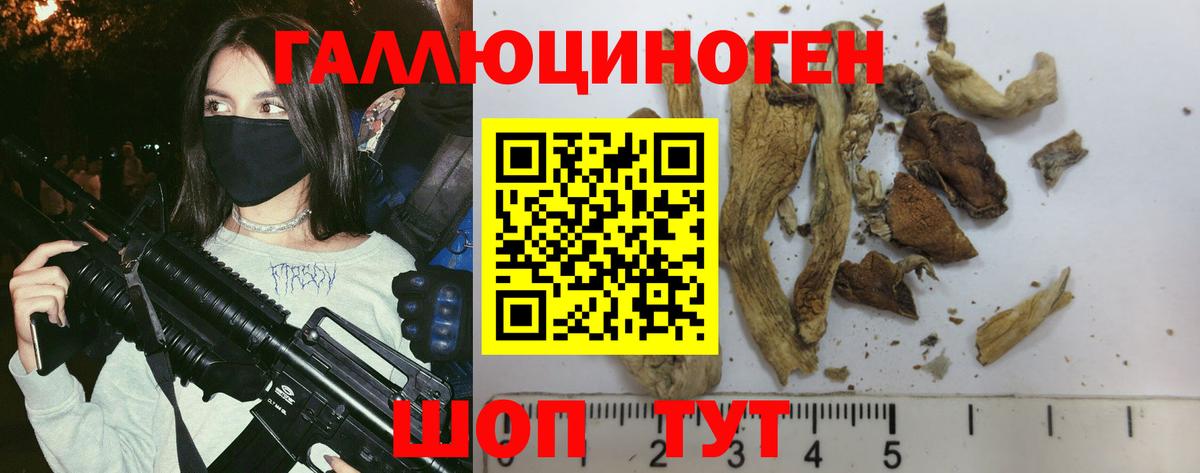 Галлюциногенные грибы мухоморы  Вход с VPN  Новосибирск  Галлюциногенные грибы Cubensis 