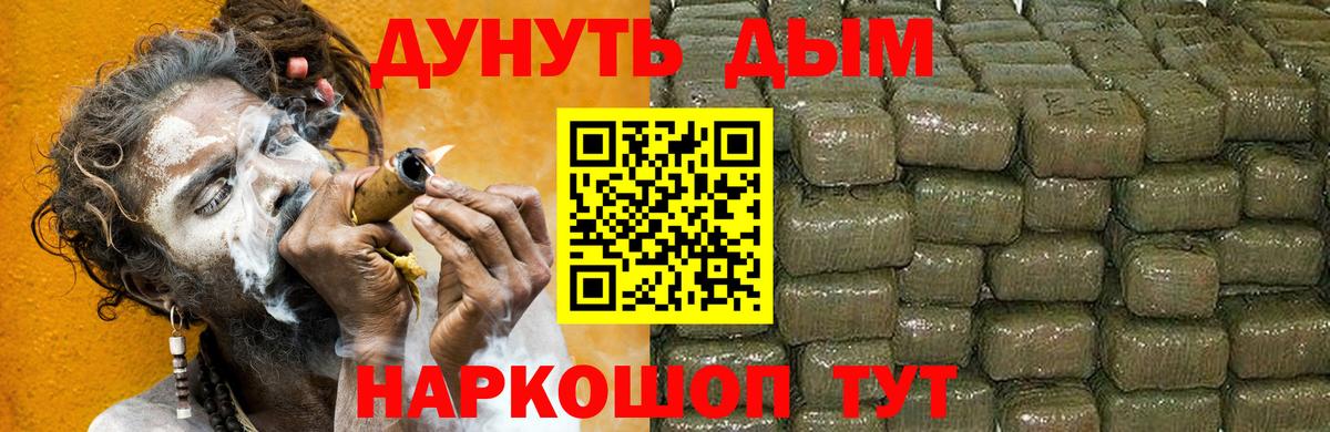 Конопля планчик Новосибирск